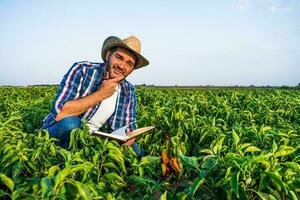 Happy farmer is standing in his pepper plantation. photo