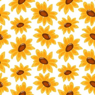 Seamless pattern, sunflower flowers on a white background. Background, textile, wallpaper, vector