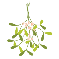 Weihnachten Mistel Grafik png