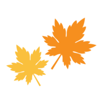 Maple leaves illustration png