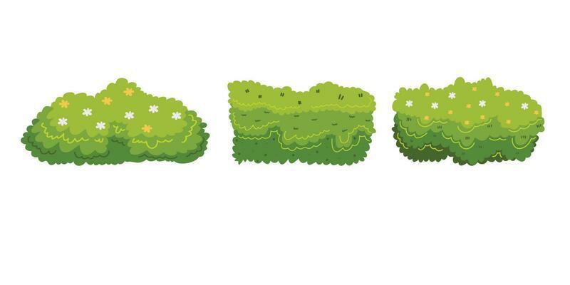 Illustration of bush for decorate the garden beautifully. Ornamental plant shrub for decorate of a park, a garden or a green fence. Thick thickets of shrubs. Foliage for spring and summer card design.