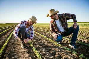 Farmer couple on their land and plantation photo