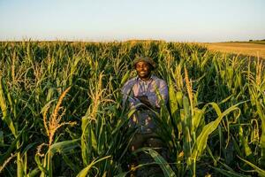 Farmer is standing in his growing corn field. photo