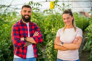 Organic greenhouse business. Family farmers are standing in their vegetable garden and smiling. photo