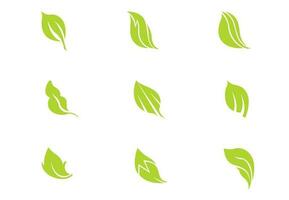 leaf Set on White Background. Vector