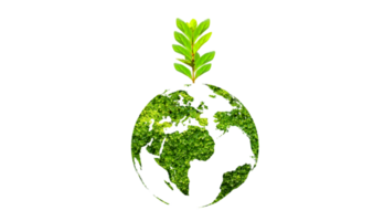 tree in the green globe Isolate on transparent background PNG file