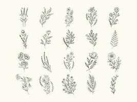 set of Hand drawn floral elements vector