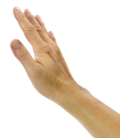 right hand showing signaling stop isolated png