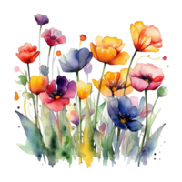 bunte Frühlingsblumen png