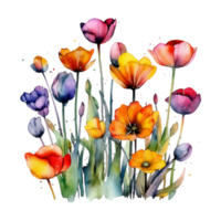 fleurs printanières colorées png