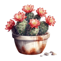 Cactus in flower pot, decorative plant in garden, png