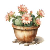 Cactus in flower pot, decorative plant in garden, png
