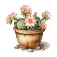 cactus en flor maceta, decorativo planta en jardín, ai generado png