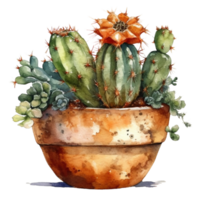 Cactus in flower pot, decorative plant in garden, png