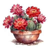 cactus in bloem pot, decoratief fabriek in tuin, ai gegenereerd png