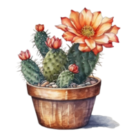 Cactus in flower pot, decorative plant in garden, png