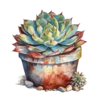 kaktus i blomma pott, dekorativ växt i trädgård, ai genererad png