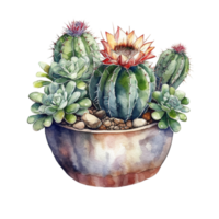 cactus in bloem pot, decoratief fabriek in tuin, ai gegenereerd png