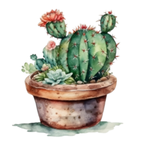 Cactus in flower pot, decorative plant in garden, png