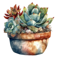 Cactus in flower pot, decorative plant in garden, png