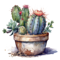 Cactus in flower pot, decorative plant in garden, png