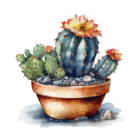 Cactus in flower pot, decorative plant in garden, png