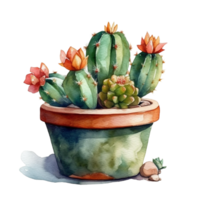 kaktus i blomma pott, dekorativ växt i trädgård, ai genererad png