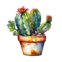 Cactus in flower pot, decorative plant in garden, png