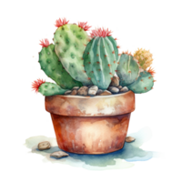 Cactus in flower pot, decorative plant in garden, png