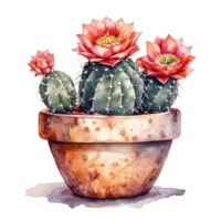 cactus nel fiore pentola, decorativo pianta nel giardino, ai generato png