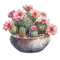 cactus en flor maceta, decorativo planta en jardín, ai generado png