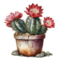 cactus in bloem pot, decoratief fabriek in tuin, ai gegenereerd png