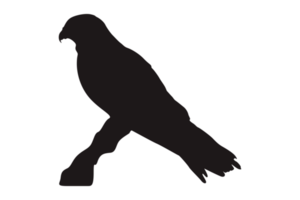 animal - encaramado águila silueta png