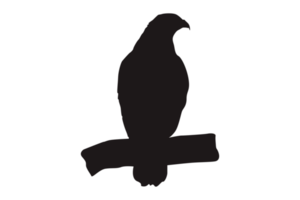 Animal - Perched Eagle Silhouette png