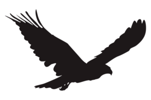 Animal - Flying Eagle Silhouette png