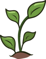 Sprout png graphic clipart design