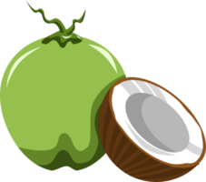 coconut png graphic clipart design