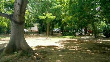 ciudad verde parque infantil banco tobogán columpio playa del carmen. video