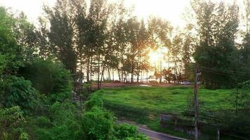 magnifique coucher de soleil coloré et doré sur l'île de phuket en thaïlande. video