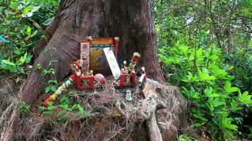 heiliger geisterhaus schrein kleiner tempel garten hof dorf thailand. video