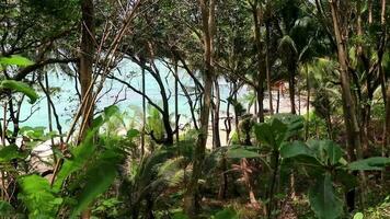 Secret Banana Beach bay panorama turquoise clear water Phuket Thailand. video