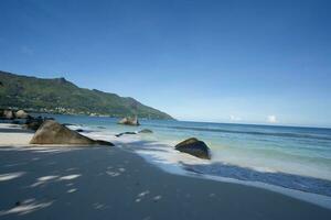 yegua inglés playa, hermosa palma árboles, blanco playa y claro agua, mahe seychelles foto