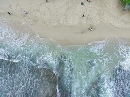 aerial top down view of beautiful sand beach and coral reefs photo