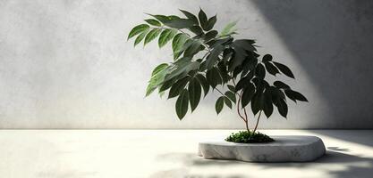 Podium template with foliage drop shadow for product. Beauty mockup with empty tray presentation. . photo