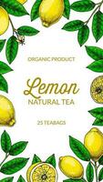 Vertical lemon background. Hand drawn colorful vector illustration in sketch stile. Design for packaging, invitation, greeting cards