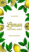 Vertical lemon background. Hand drawn colorful vector illustration in sketch stile. Design for packaging, invitation, greeting cards