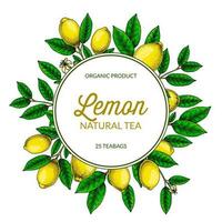 Circle lemon frame. Hand drawn colorful vector illustration in sketch stile. Design for packaging, logo, invitation, greeting cards