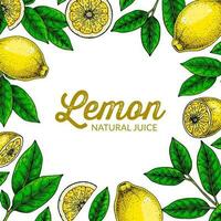 Square lemon background. Hand drawn colorful vector illustration in sketch stile. Design for packaging, logo, invitation, greeting cards