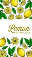 Vertical lemon background. Hand drawn colorful vector illustration in sketch stile. Design for packaging, invitation, greeting cards