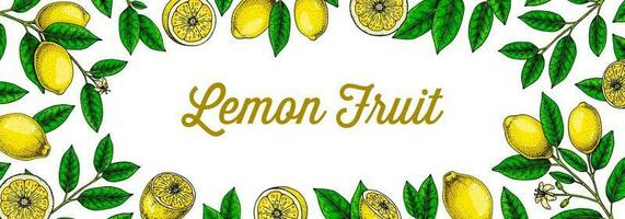 Horizontal lemon background. Hand drawn colorful vector illustration in sketch stile. Design for packaging, invitation, greeting cards